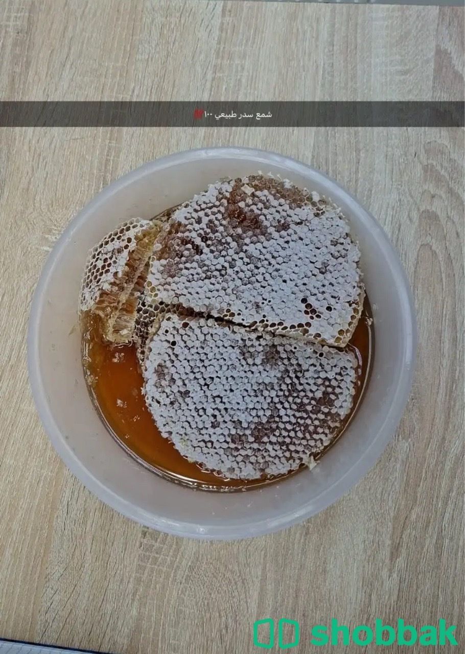 عسل سدر  شباك السعودية
