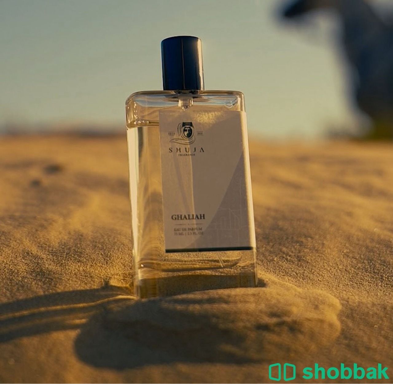 عطر غاليه من شجاع جديد Shobbak Saudi Arabia