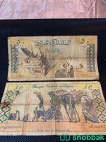 عملة جزائرية 50 دينار  قديمة جداً ونادرة  شباك السعودية