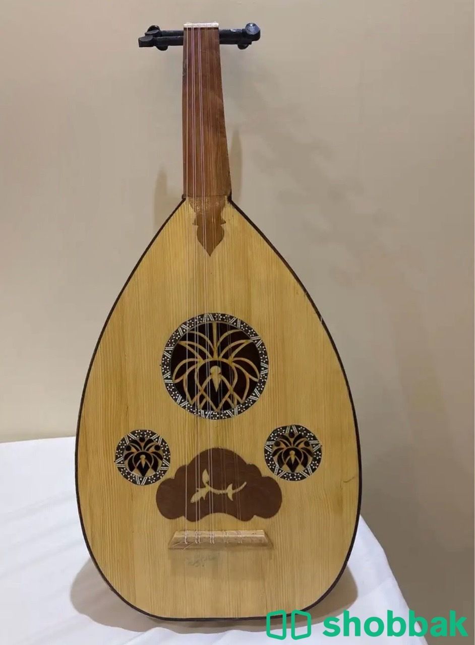 عود مقاس نسائي Shobbak Saudi Arabia