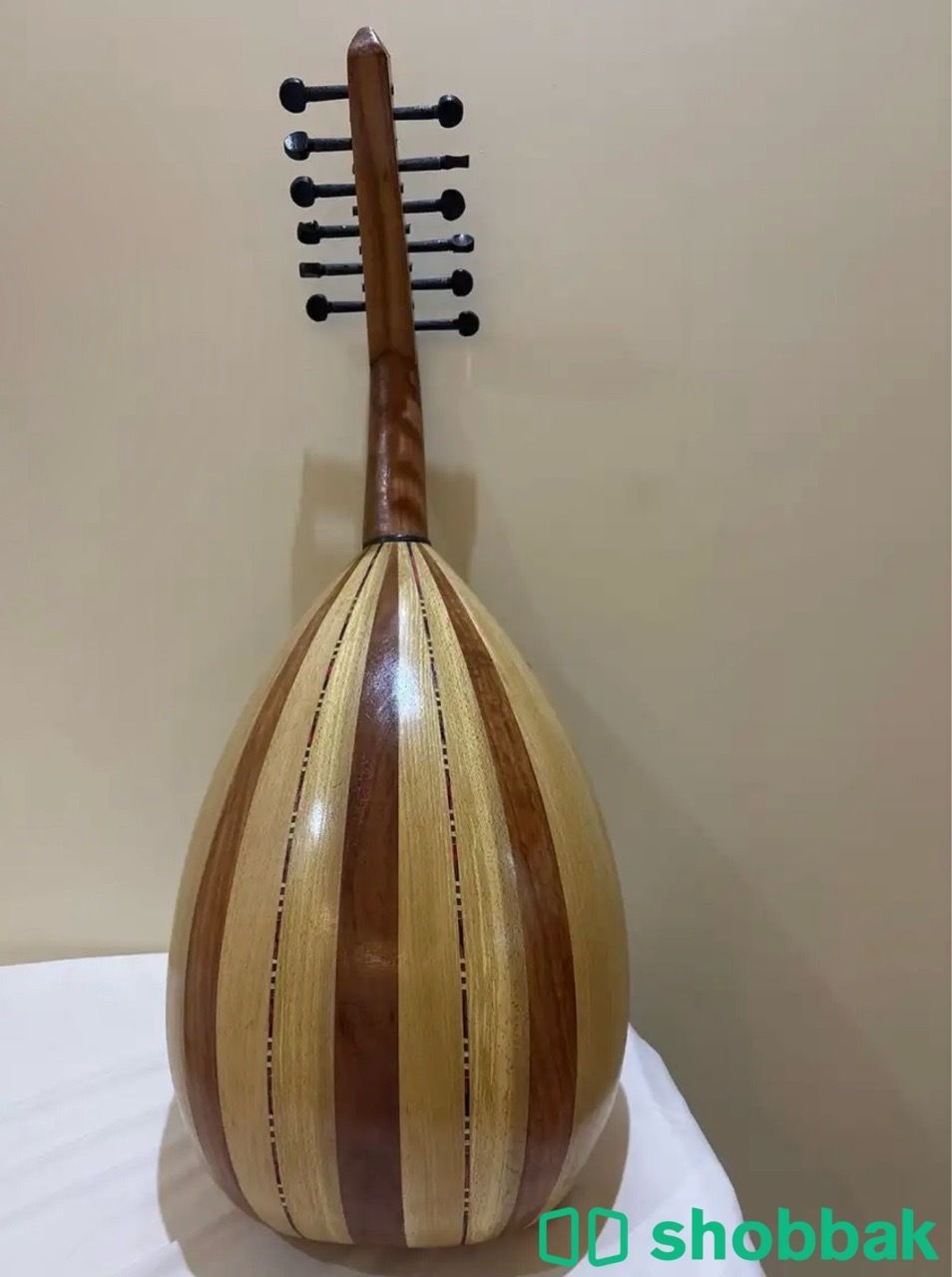 عود مقاس نسائي Shobbak Saudi Arabia