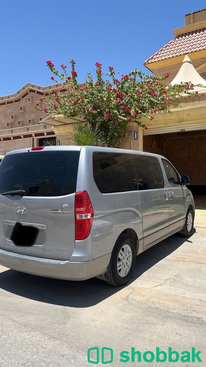 فان H1 Shobbak Saudi Arabia