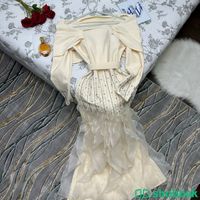 فستان باربي مع تطريز اصلي  شباك السعودية