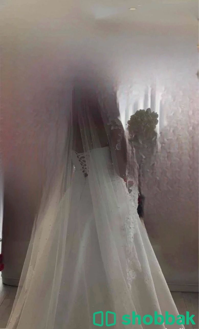 فستان زفاف  شباك السعودية