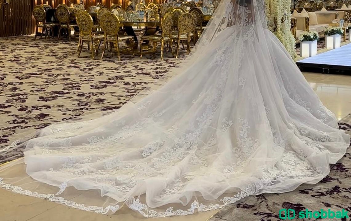 فستان زفاف 2024 شباك السعودية