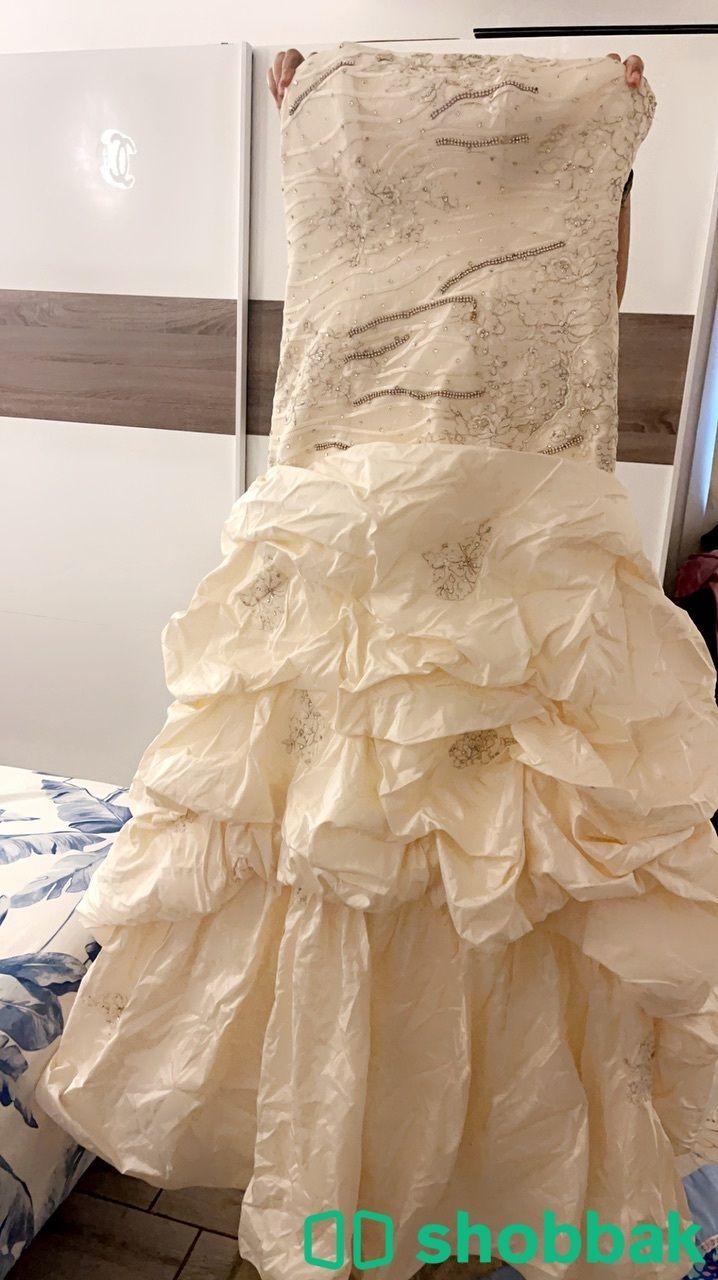 فستان زفاف شباك السعودية