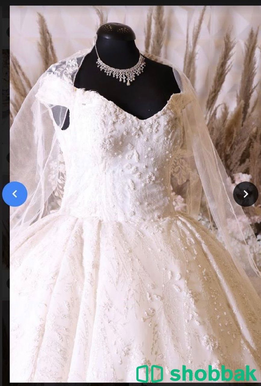 فستان زفاف أنيق  Shobbak Saudi Arabia