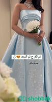 فستان ميكادو مطرز كلوش  Shobbak Saudi Arabia
