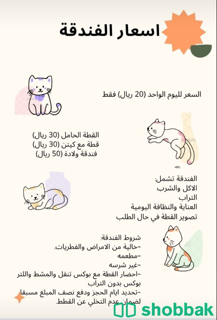 فندقة قطط في جدة ❤️🐾 Shobbak Saudi Arabia