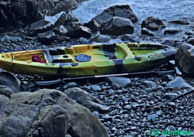 قارب تجديف 🛶 شباك الإمارات العربية المتحدة