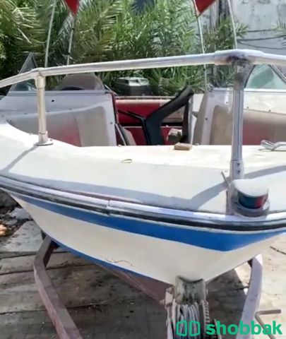 قارب عائلي 🛥 شباك الإمارات العربية المتحدة
