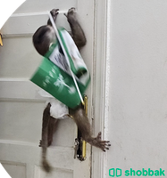 قرد 🐒 للبيع  Shobbak Saudi Arabia