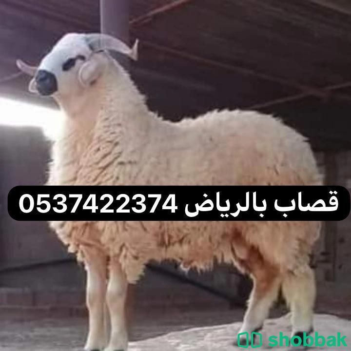 قصاب بالرياض 0537422374 Shobbak Saudi Arabia