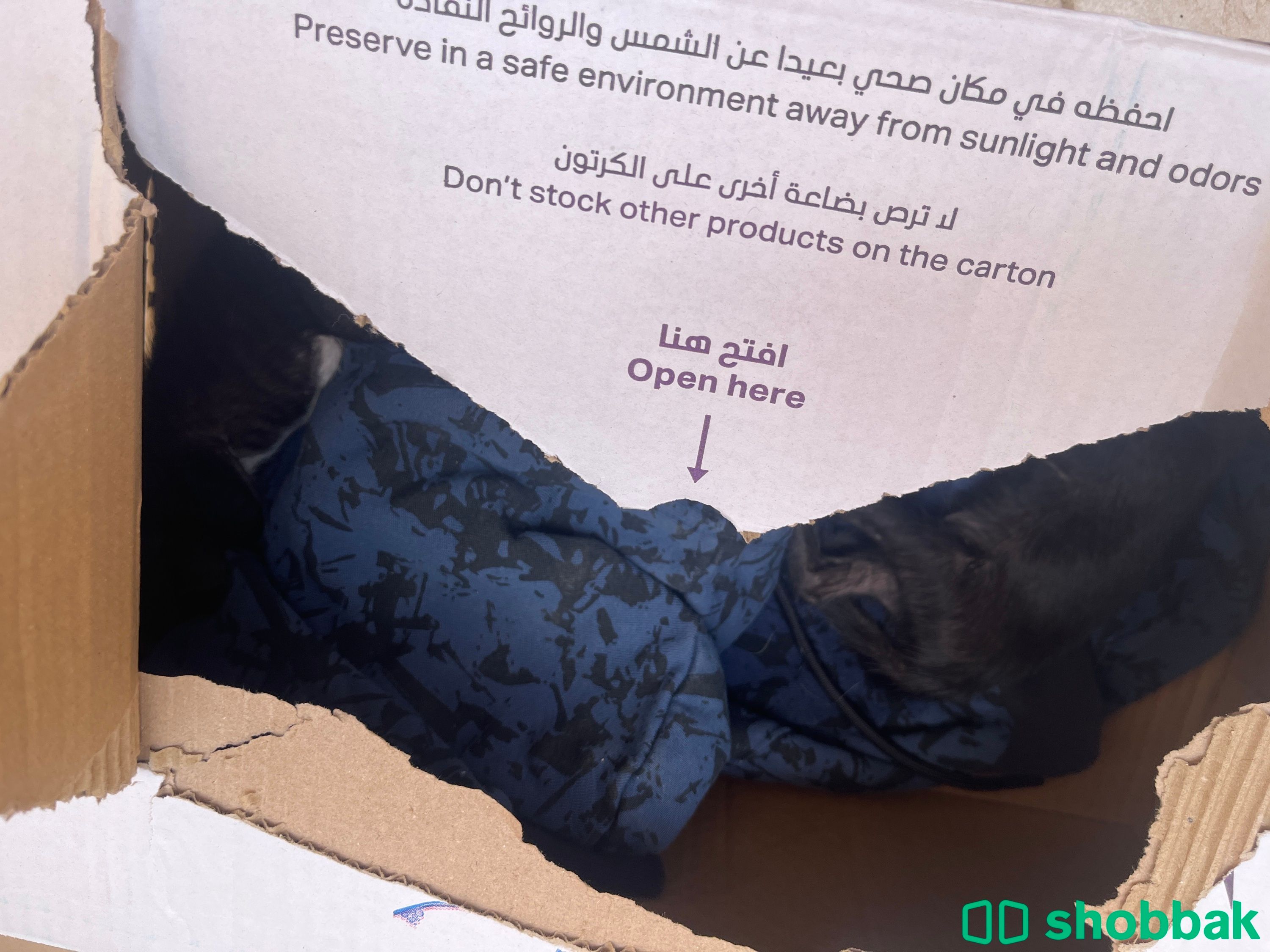 قطين صغار من يتبناهم ويكسب اجر  شباك السعودية