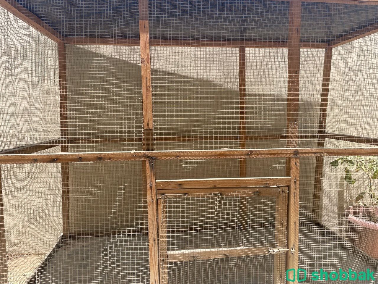 قفص  Shobbak Bahrain