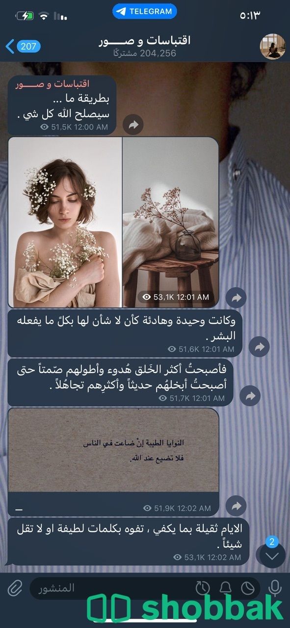 قنوات تليجرام متفاعله للمستثمرين واصحاب المحتوى . Shobbak Saudi Arabia
