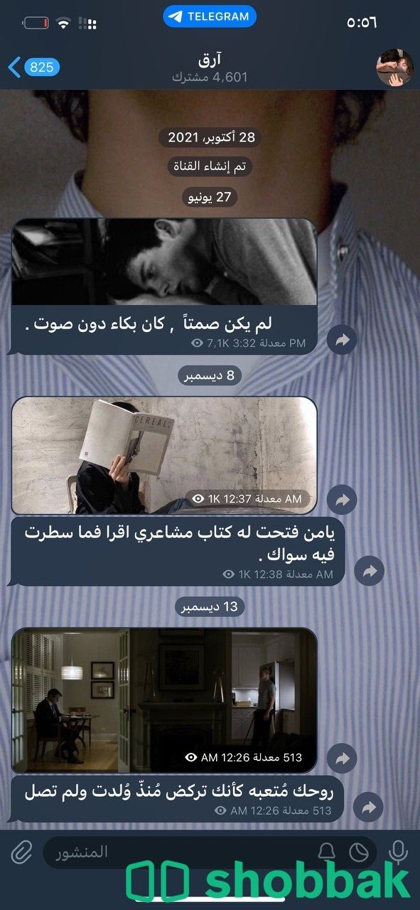 قنوات تليجرام متفاعله للمستثمرين واصحاب المحتوى  Shobbak Saudi Arabia