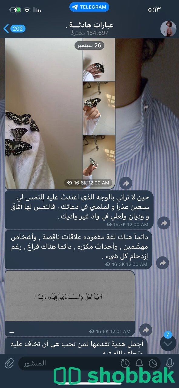 قنوات تليقرام متفاعله مع نقل ملكية Shobbak Saudi Arabia