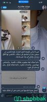 قنوات تليقرام متفاعله مع نقل ملكية Shobbak Saudi Arabia