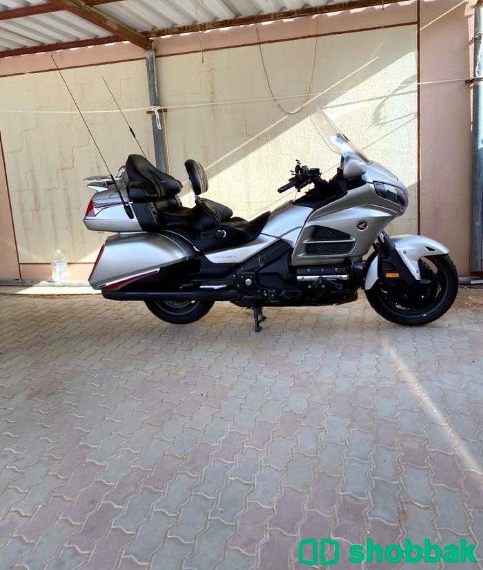 قولدنوينق  موديل 2016 شباك الإمارات العربية المتحدة