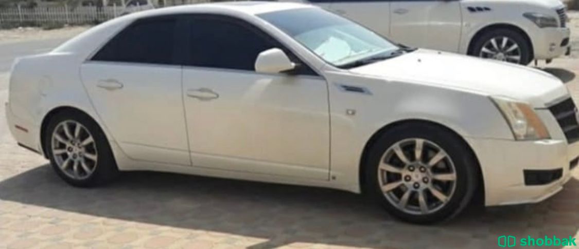 كاديلاك شباك الإمارات العربية المتحدة