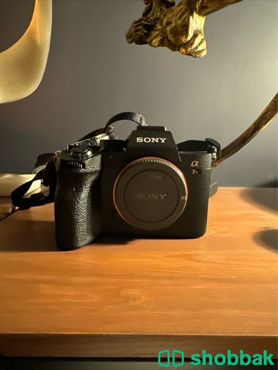 كاميرا سوني احترافية مع عدسة سوني وفلاش احترافي | Sony A7R 414000 Shobbak Saudi Arabia