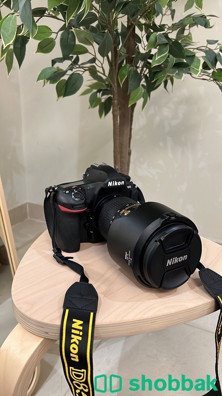 كاميرا نيكون D850 للبيع Shobbak Saudi Arabia