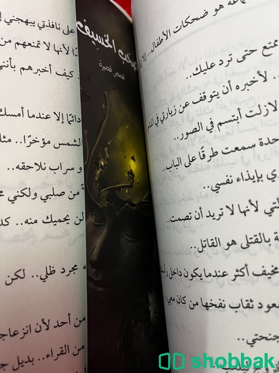 كتاب اسامة المسلم صخب الخسيف Shobbak Saudi Arabia