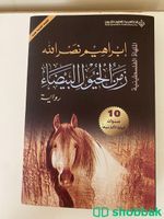 كتاب زمن الخيول البيضاء شباك السعودية