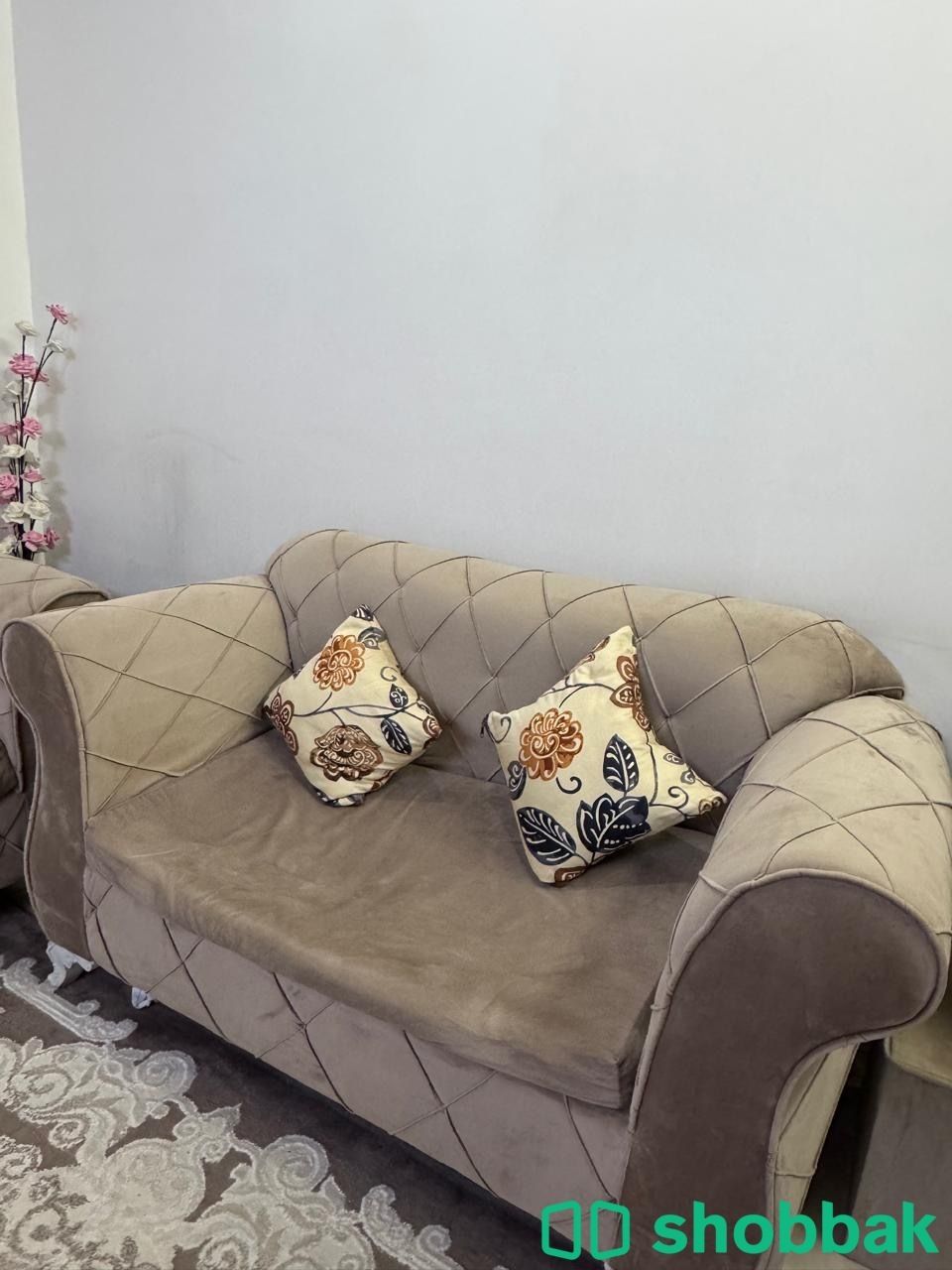 كنب صاله  Shobbak Saudi Arabia