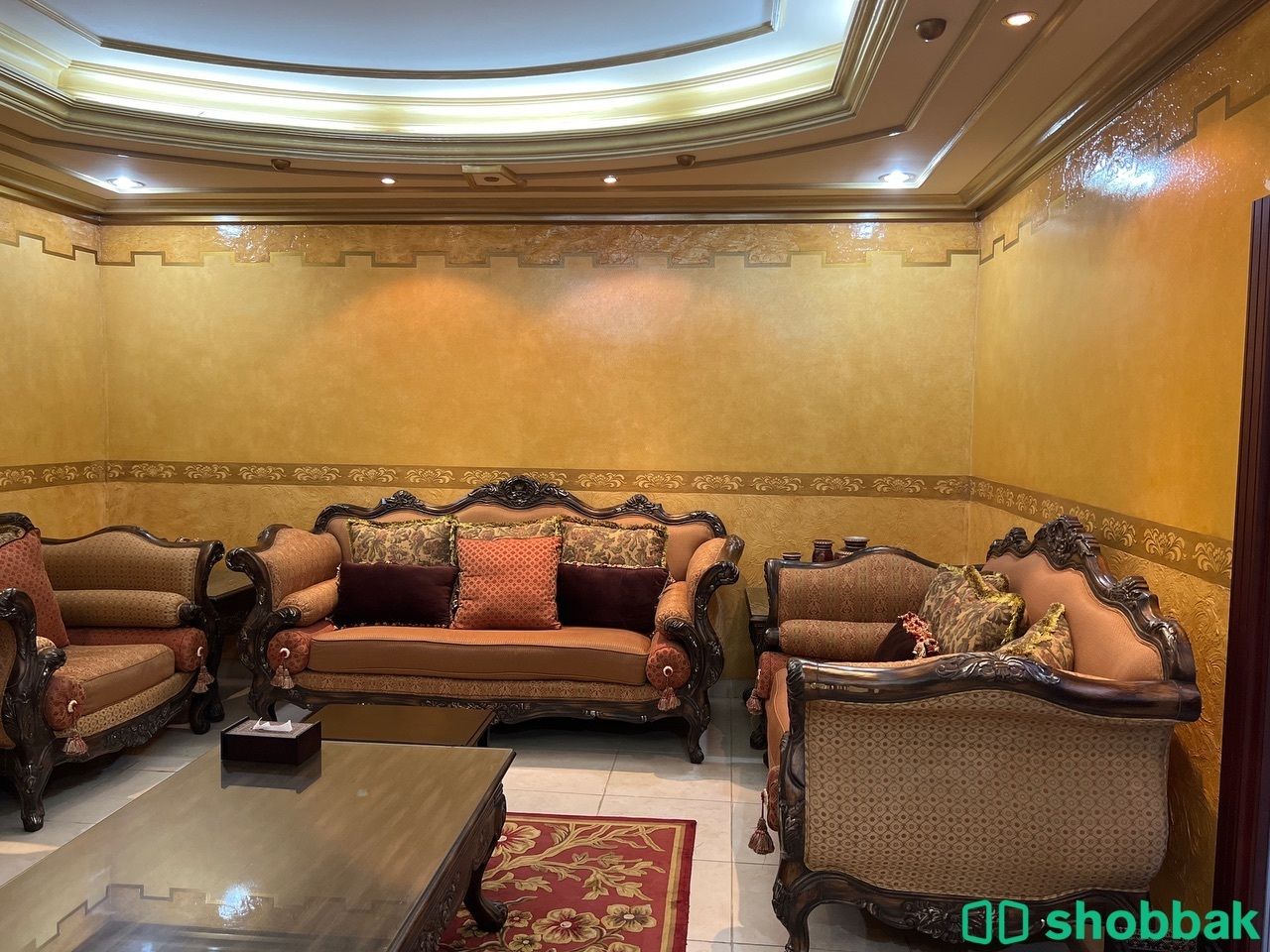كنبات شباك السعودية