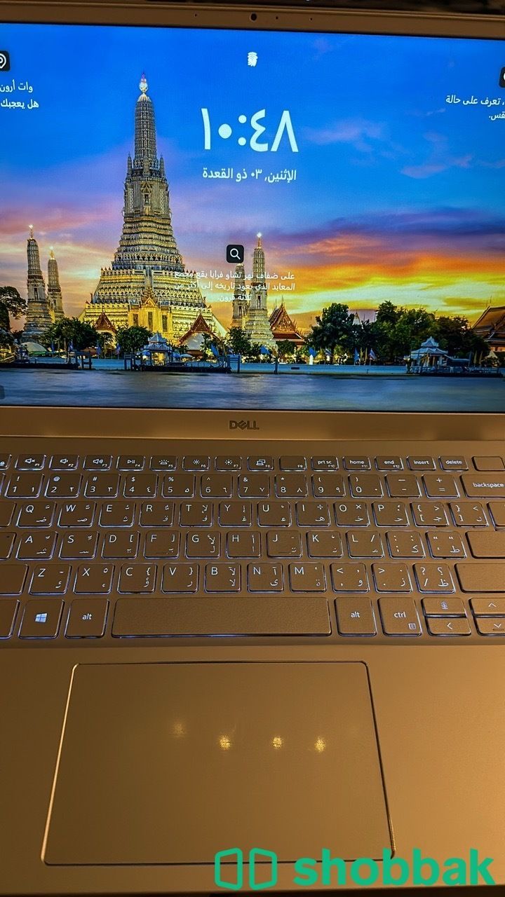 لاب توب ديل dell شباك السعودية