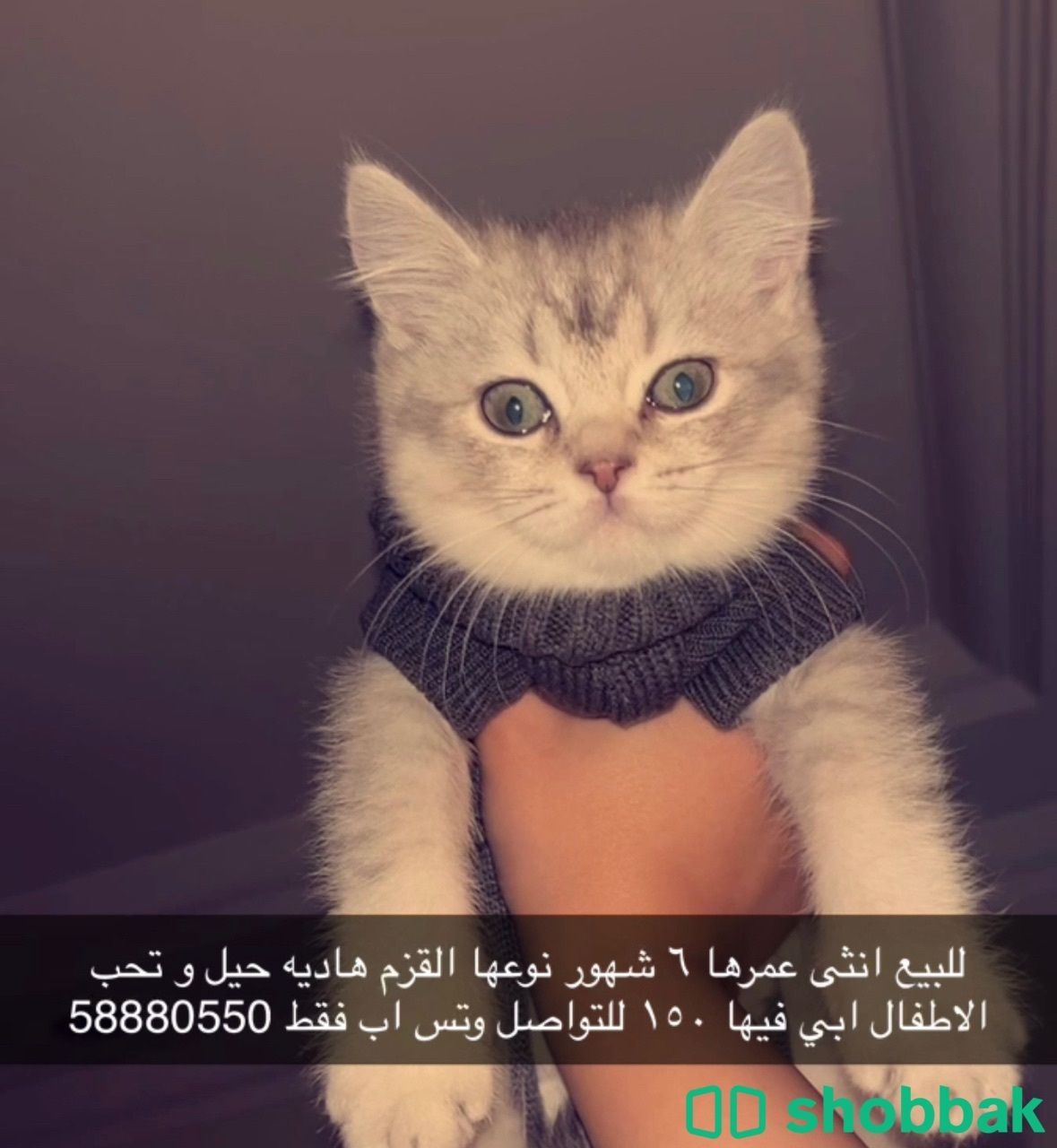 للبيع  شباك الكويت