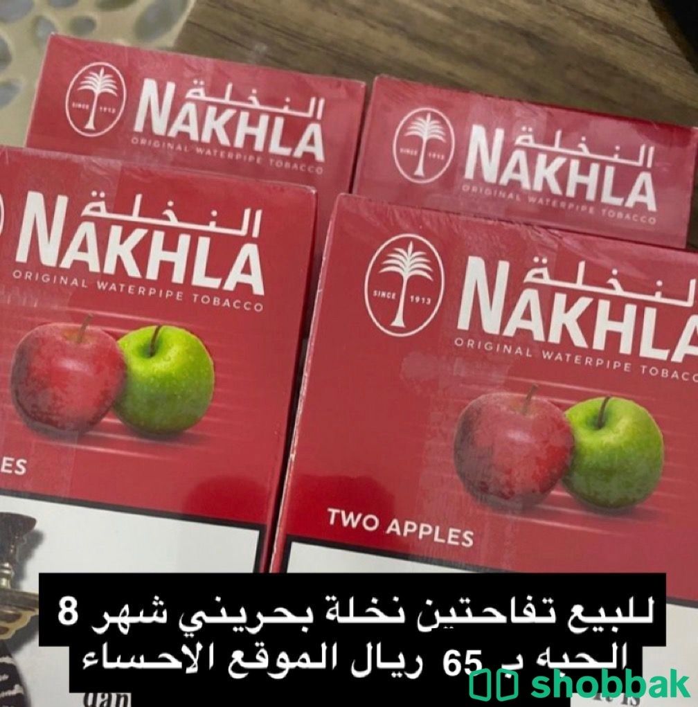 للبيع تفاحتين نخله 65 ريال الاحساء شباك السعودية