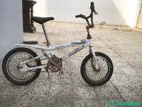للبيع دراجة كوبرا ب99  Shobbak Saudi Arabia