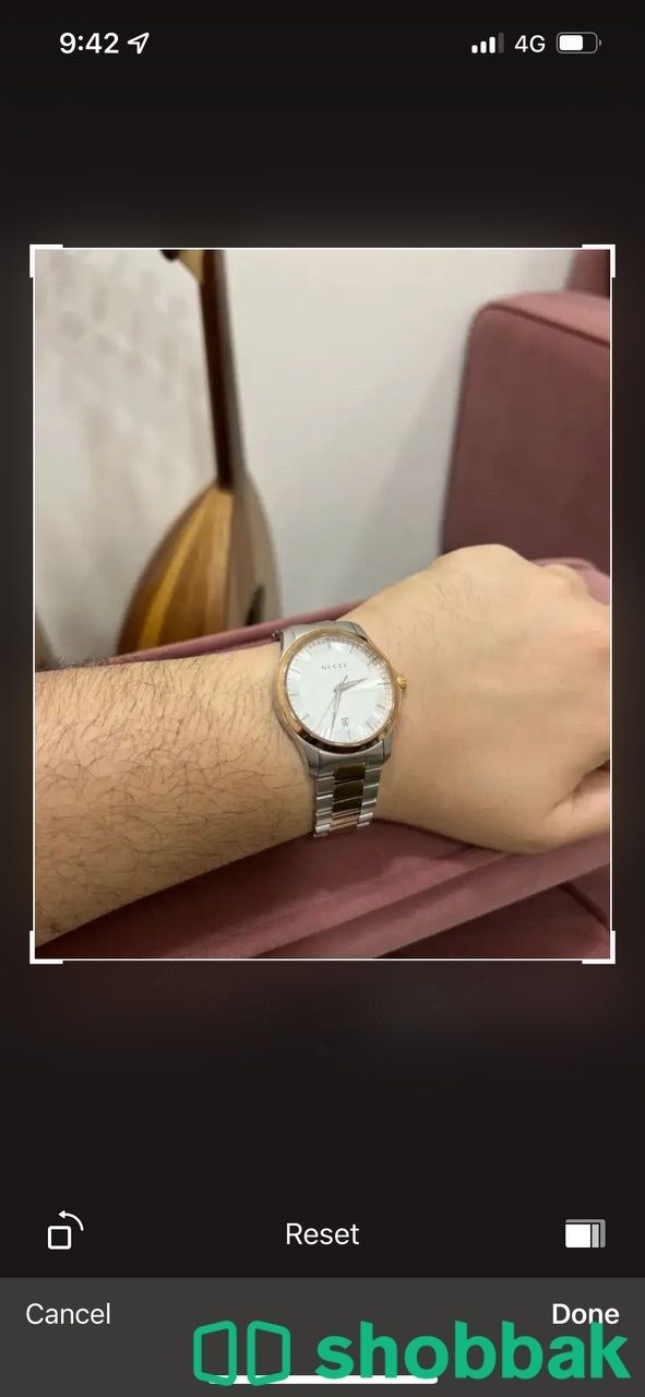 للبيع ساعة قوتشي اصلية Shobbak Saudi Arabia
