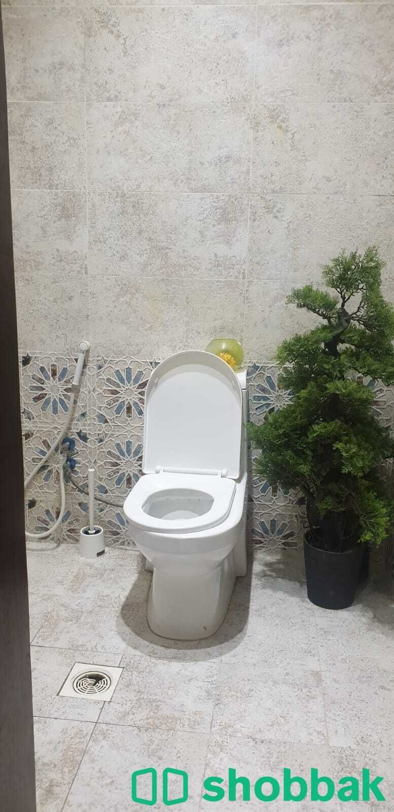 للمتميزين غرفة مفرده مفروشه للايجار بجده مع حمام خاص. شباك السعودية