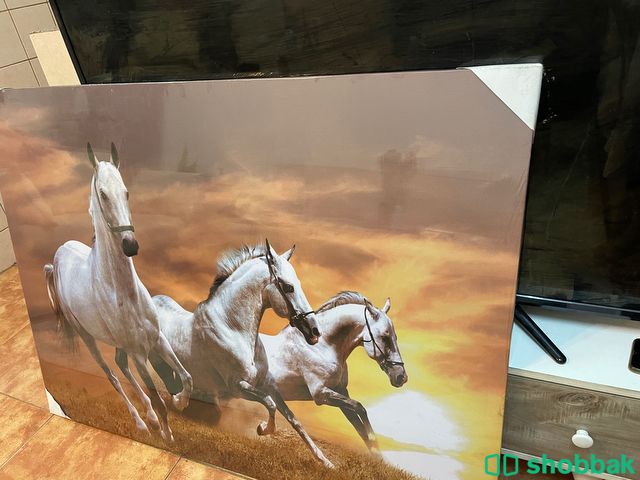 لوحة خيول كبيرة  Shobbak Saudi Arabia