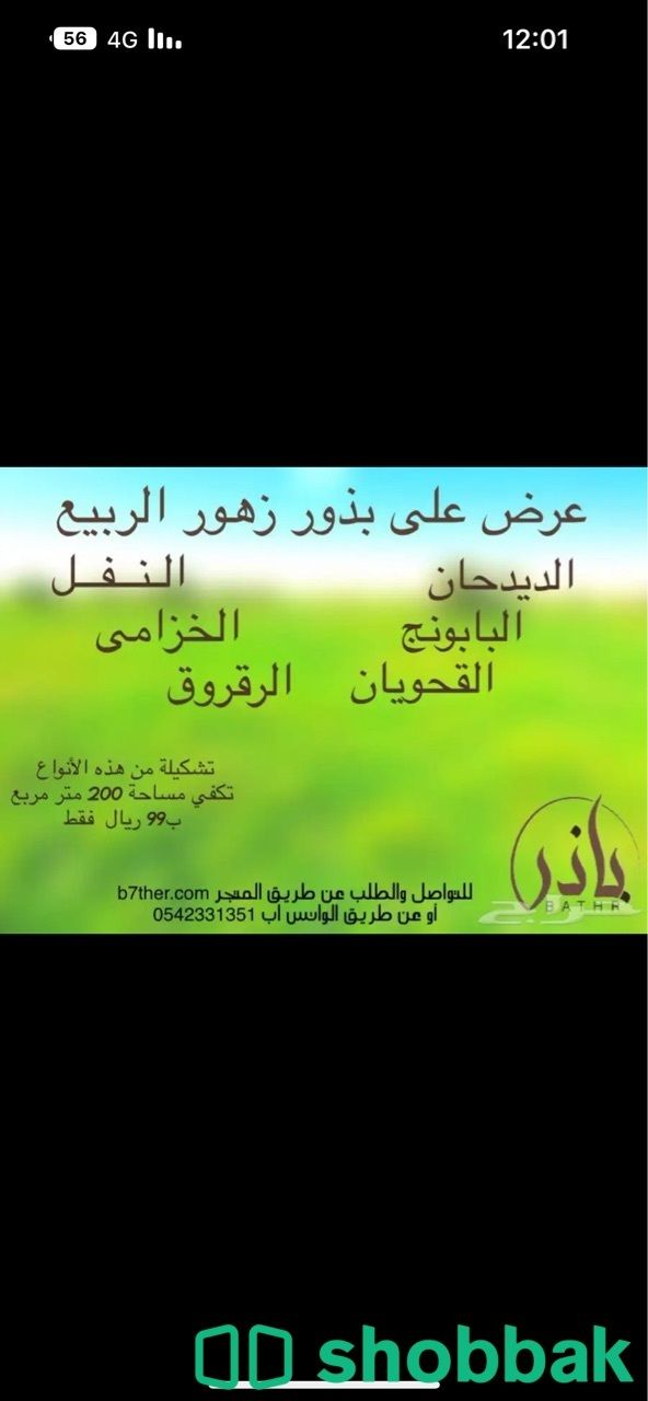 متجر باذر لبيع جميع انواع البذور  Shobbak Saudi Arabia