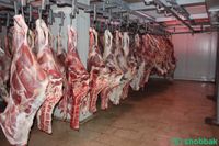متخصصون في استيراد اللحوم من السودان Shobbak Saudi Arabia