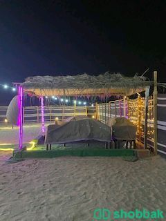مخيم الغالية  Shobbak Saudi Arabia
