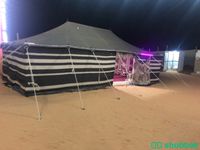 مخيم النايف لايجار Shobbak Saudi Arabia