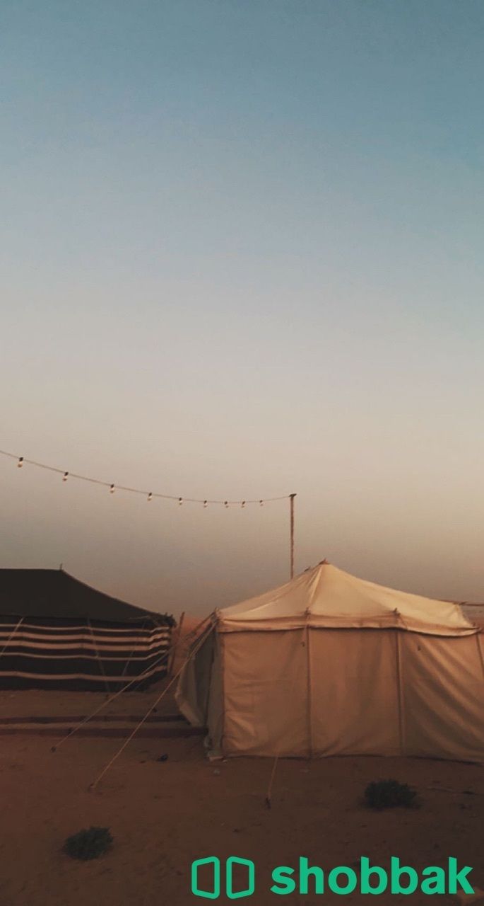 مخيم للايجار Shobbak Saudi Arabia