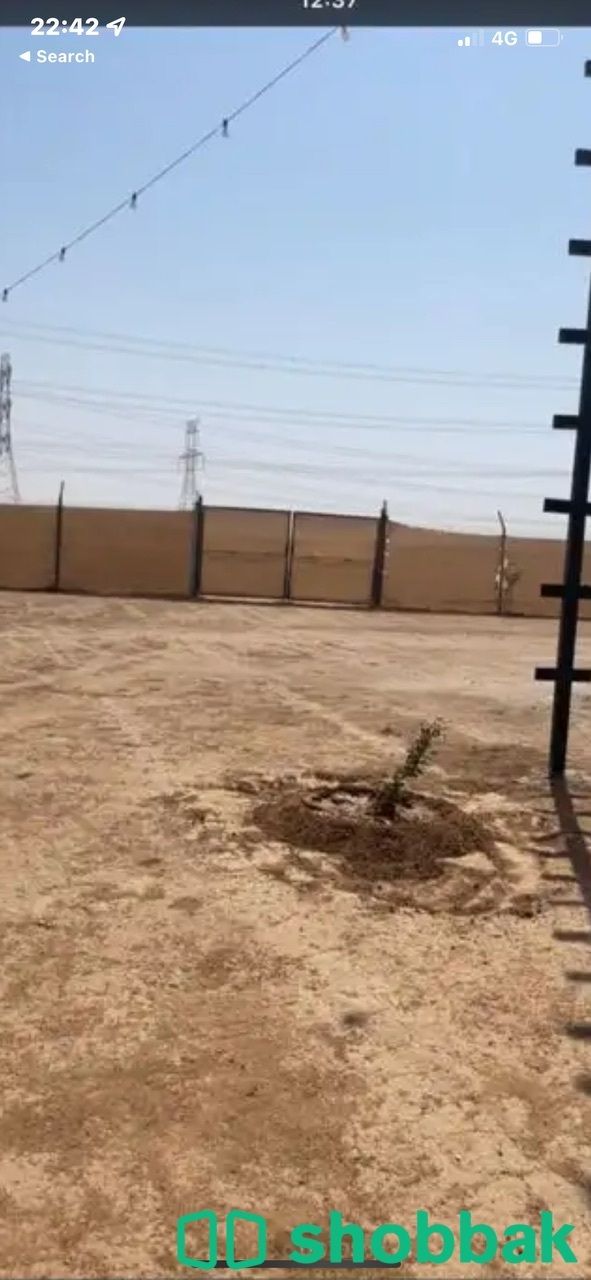 مخيم للايجار اليومي (رماح) شباك السعودية