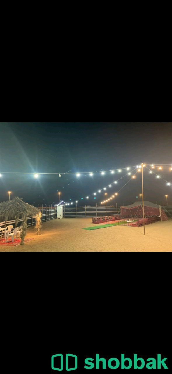 مخيم ليالي نورة شباك السعودية