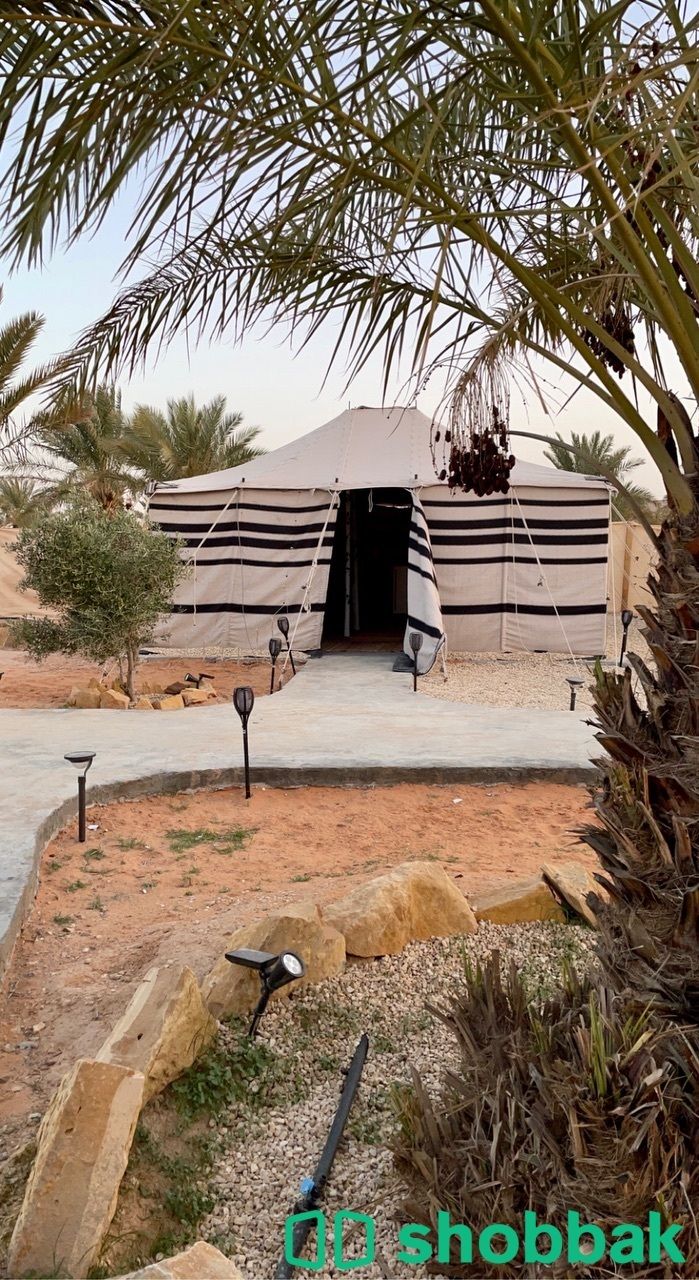 مخيم ملهم هيلز  شباك السعودية