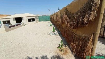 مخيم واستراحة ام احمد  شباك السعودية