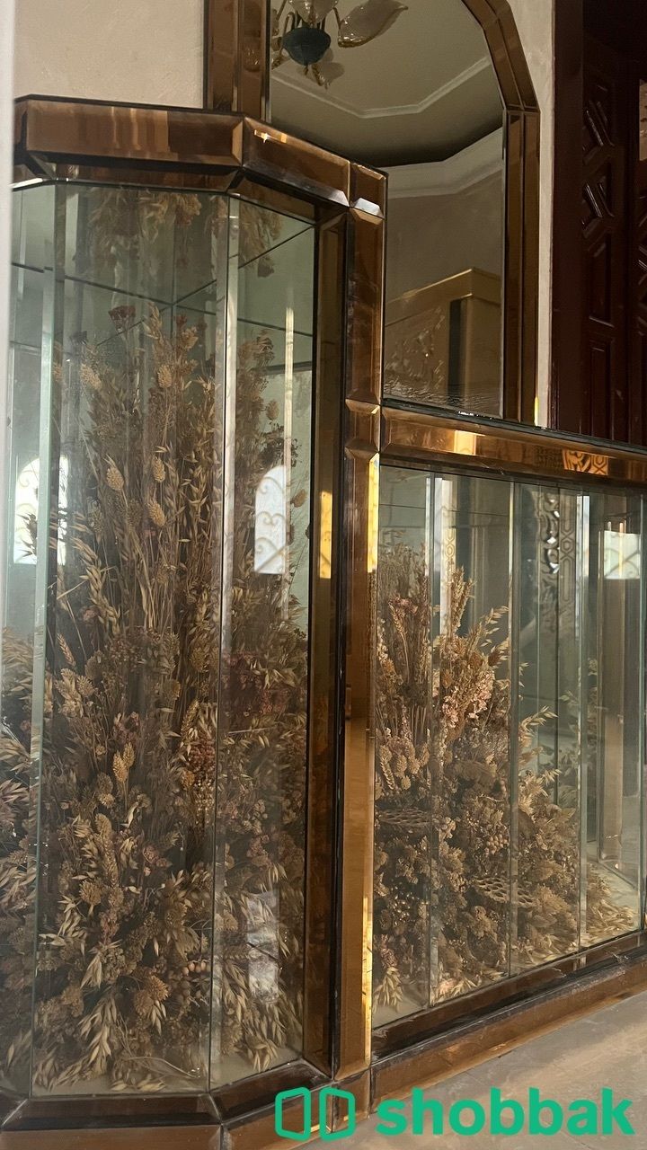 مدخل زجاجي مزين بالورد من الداخل  شباك السعودية