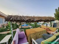 مزارع الفهد للتأجير اليومي  Shobbak Saudi Arabia