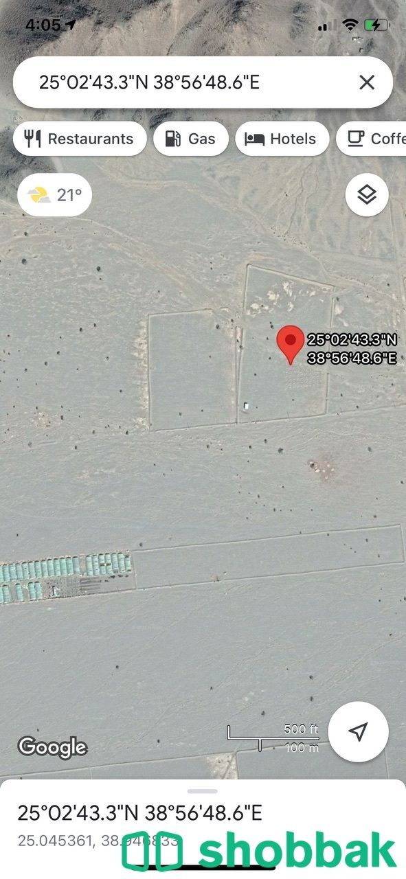 مزرعة المدينة المنورة ( شجوى) Shobbak Saudi Arabia